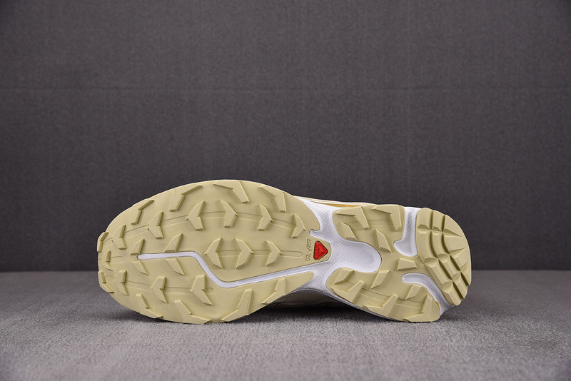 salomon xt-6 expanse cottage core